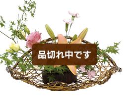 虎六ツ目帆立水盤　(箱付)